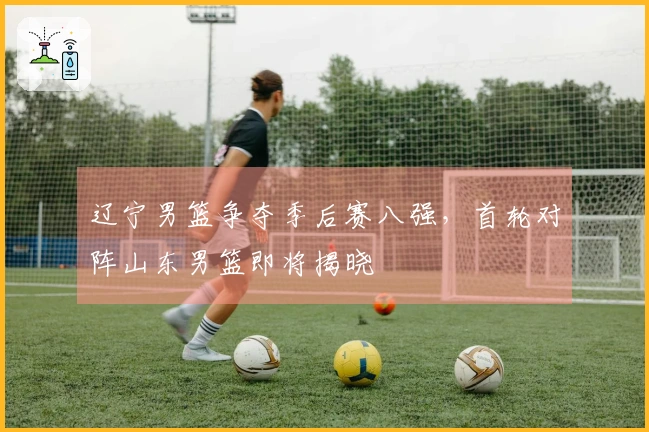 辽宁男篮争夺季后赛八强，首轮对阵山东男篮即将揭晓